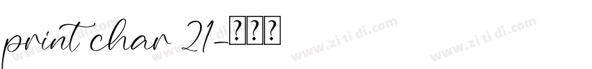 print char 21字体转换